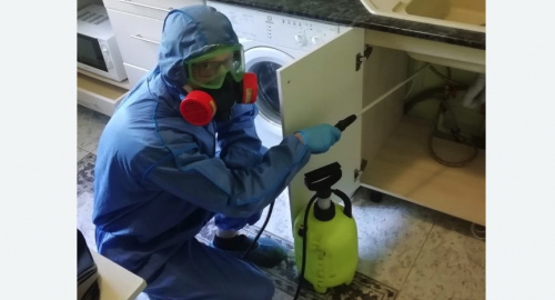 Уничтожение муравьев в квартире. Поливаново