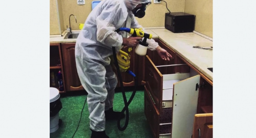 Дезинсекция квартиры. Поливаново