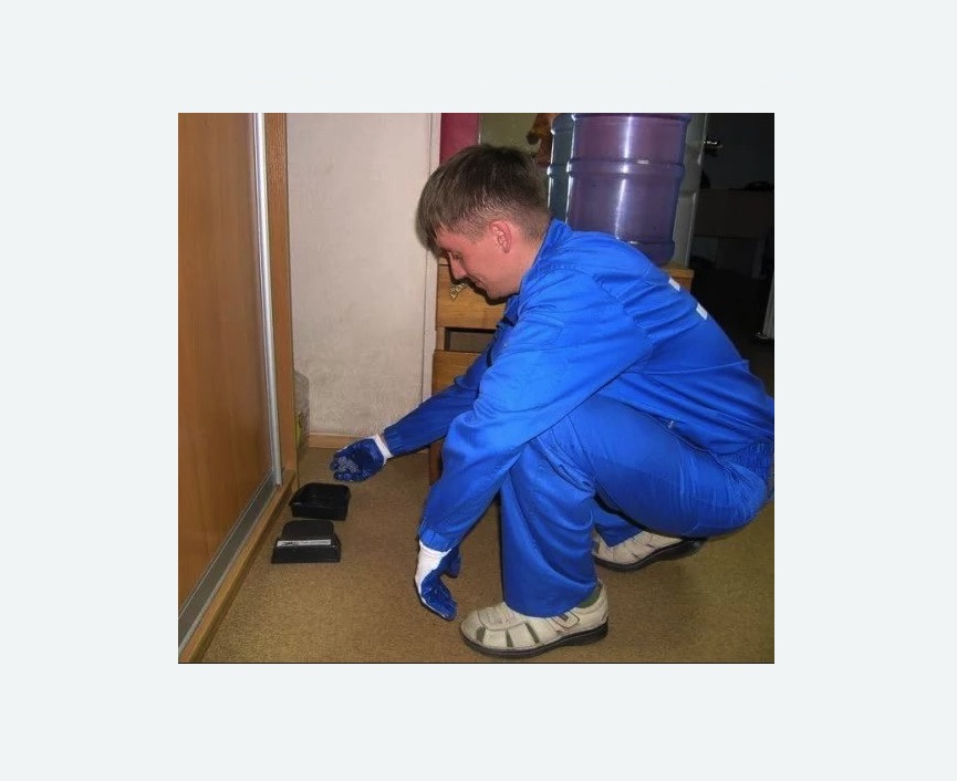 Дератизация крыс в Поливаново