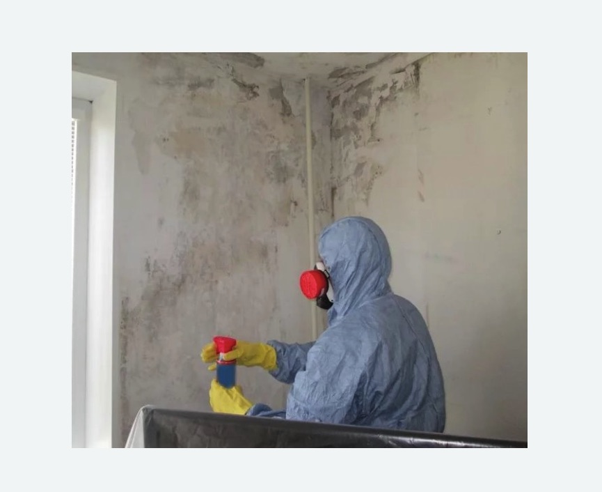 Удаление плесени в квартире в Поливаново