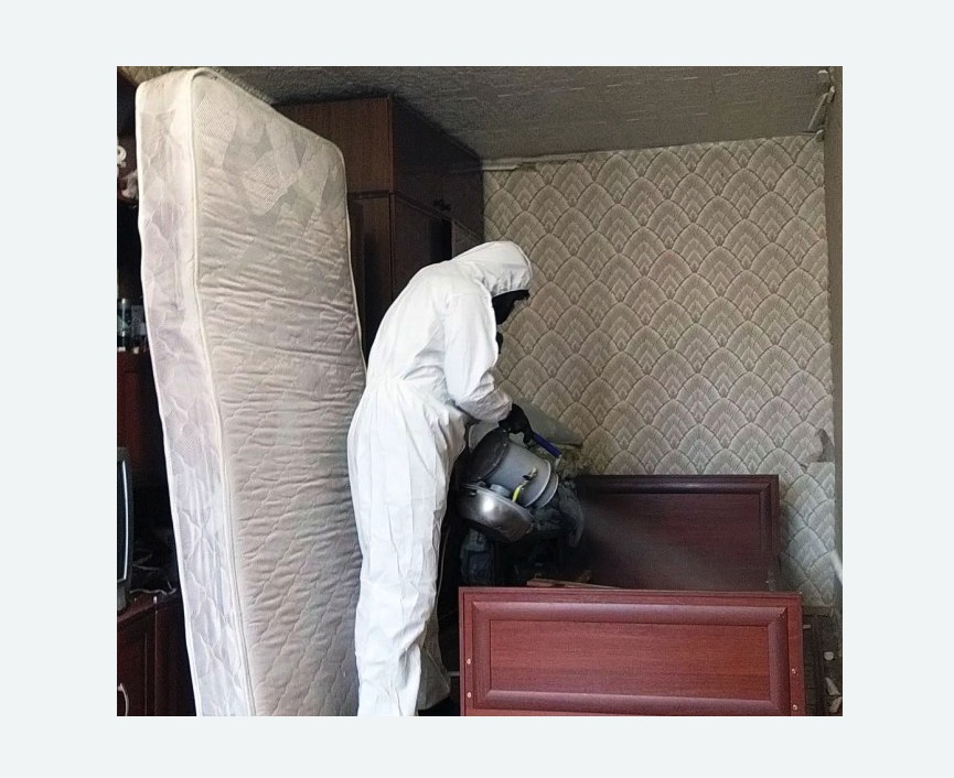 дезинфекция от клопов в Поливаново