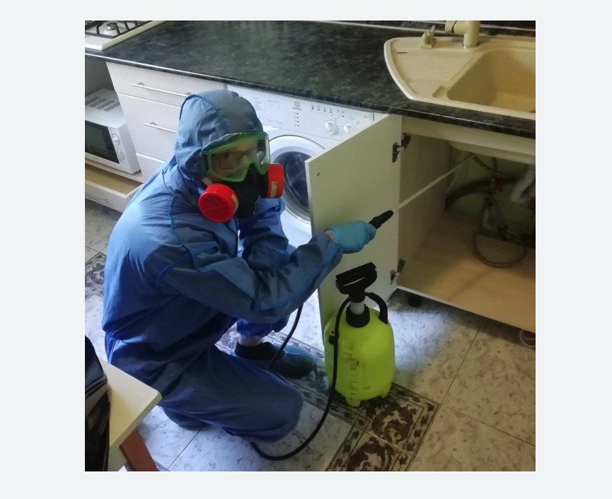 обработка от муравьев в квартире в Поливаново