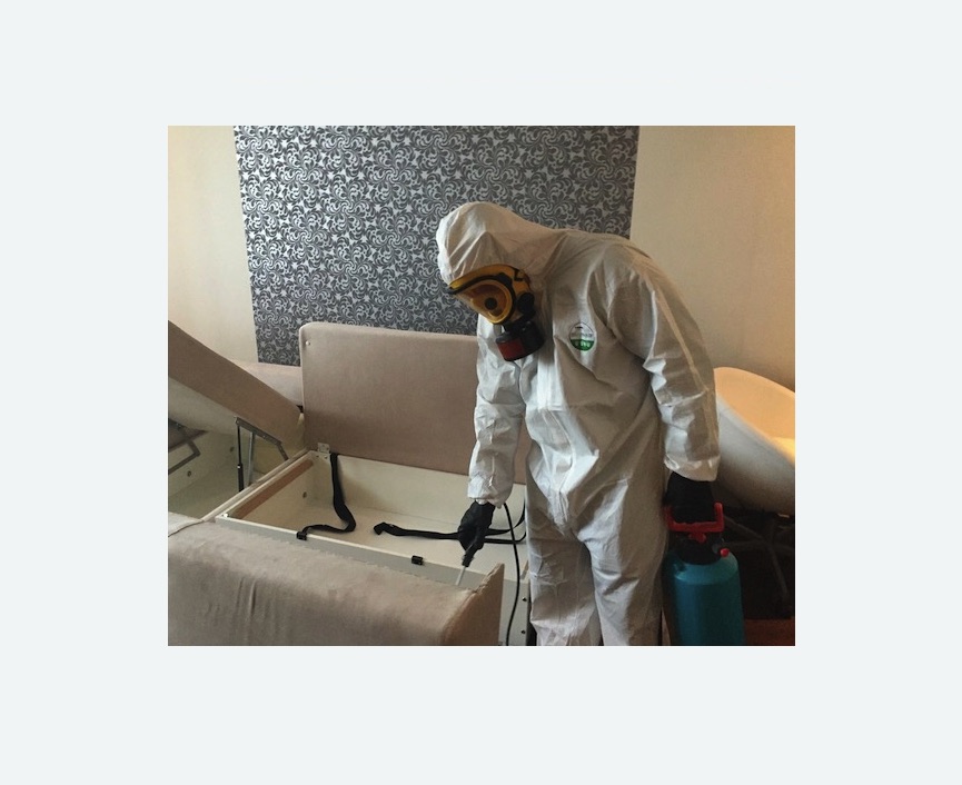 уничтожение клопов в квартире в Поливаново