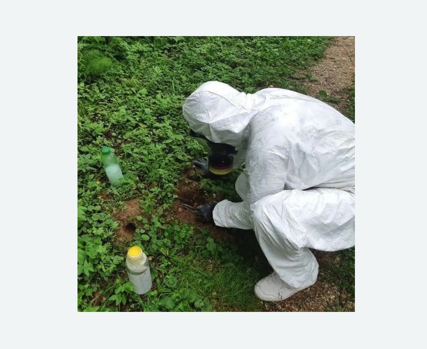 уничтожение кротов на участке в Поливаново