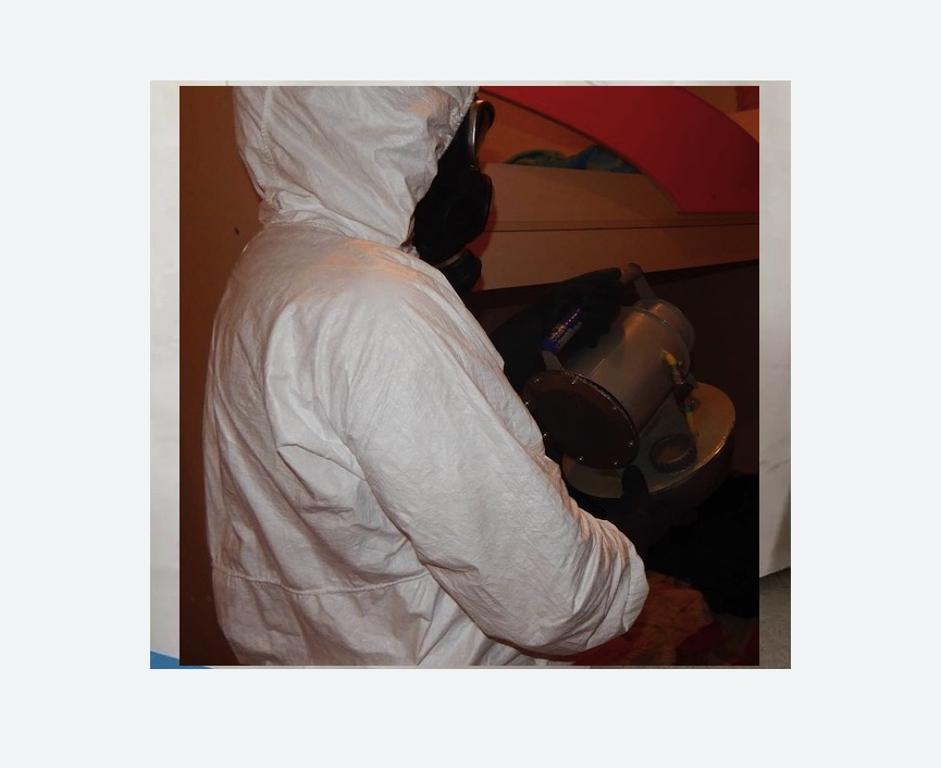 Дезинфекция от муравьев в Поливаново