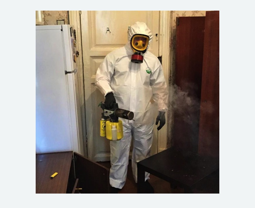 уничтожение муравьев в квартире в Поливаново